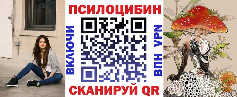 Псилоцибиновые грибы Psilocybe Юрьевец